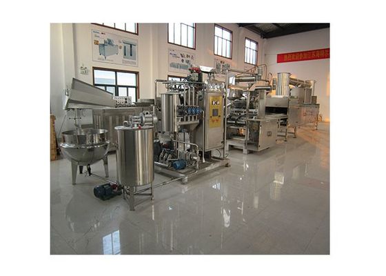 Accomplissez le petit équipement industriel gommeux automatique de sucrerie fournisseur